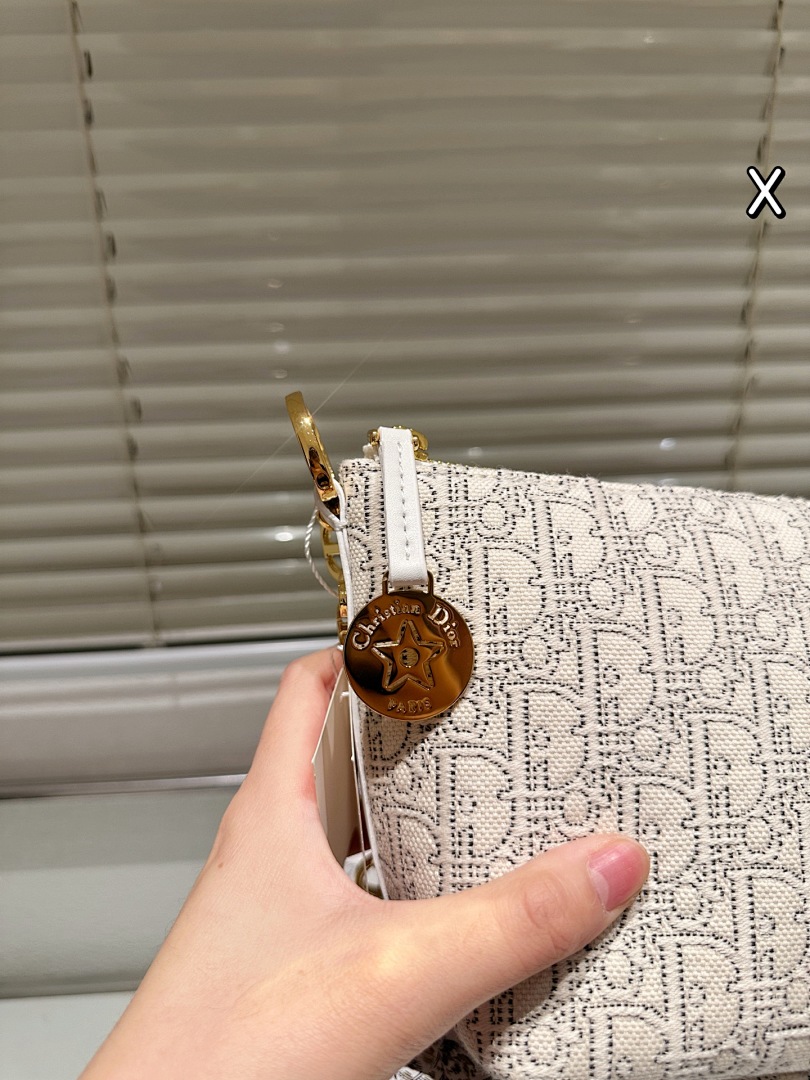 Dior Saddle Bag view