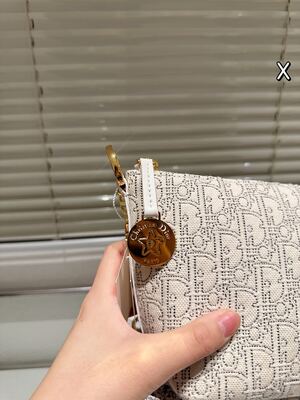 Dior Saddle Bag view 13
