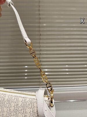 Dior Saddle Bag view 14