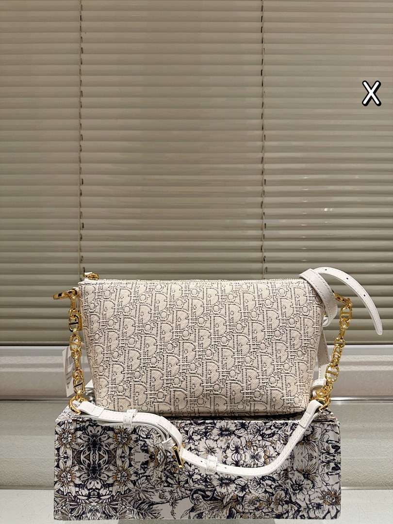 Dior Saddle Bag view
