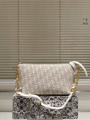 Dior Saddle Bag view 15