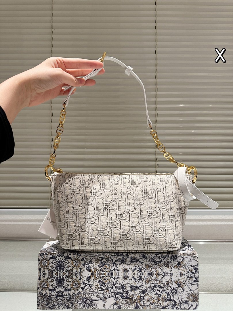 Dior Saddle Bag view