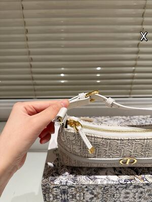 Dior Saddle Bag view 4