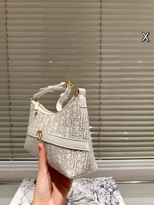 Dior Saddle Bag view 1
