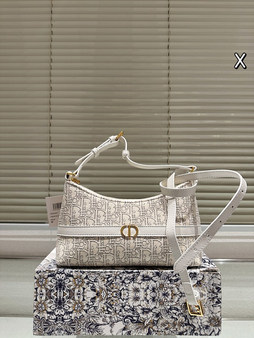 Dior Saddle Bag view