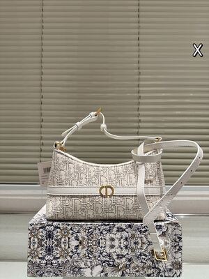 Dior Saddle Bag view 2