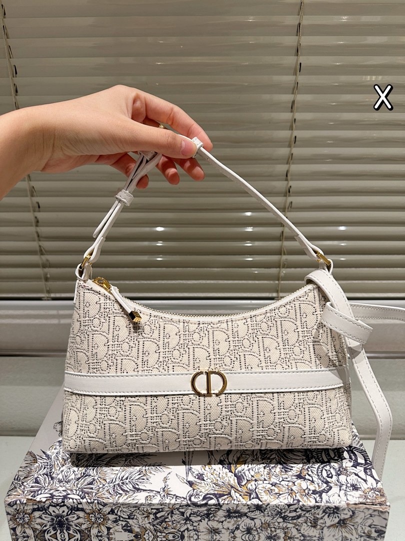 Dior Saddle Bag view