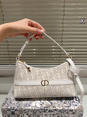 Dior Saddle Bag view 7