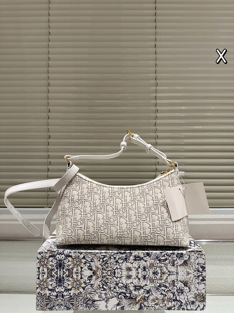 Dior Saddle Bag view