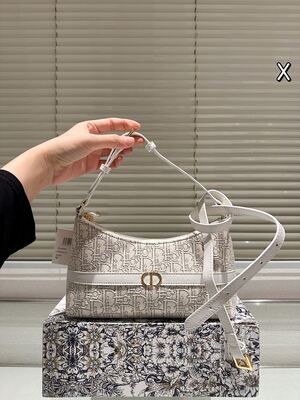 Dior Saddle Bag view 9