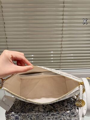 Dior Saddle Bag view 10