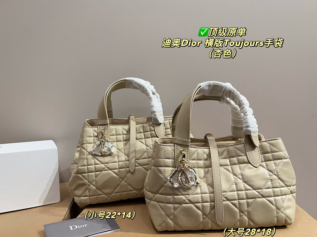 Dior Toujours Tote Bag view