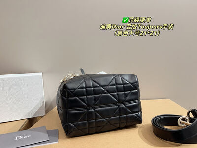 Dior Toujours Quilted Bag view 11