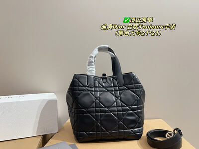 Dior Toujours Quilted Bag view 12