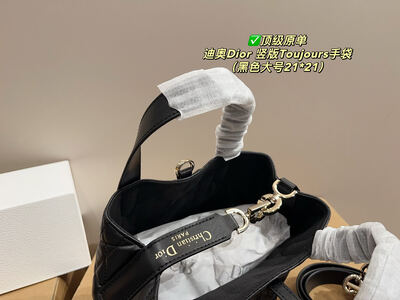 Dior Toujours Quilted Bag view 14