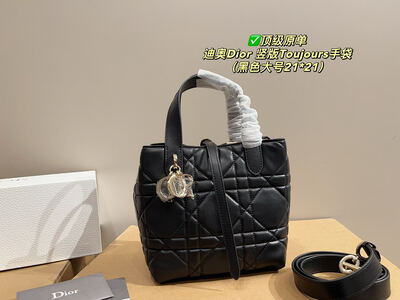 Dior Toujours Quilted Bag view 16