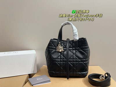 Dior Toujours Quilted Bag view 17