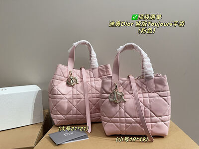 Dior Toujours Quilted Bag view 19