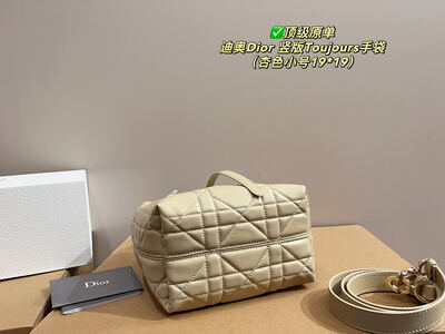 Dior Toujours Quilted Bag view 3