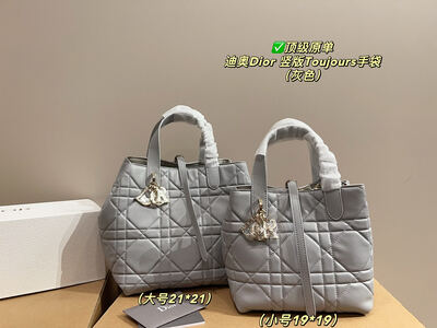 Dior Toujours Quilted Bag view 21