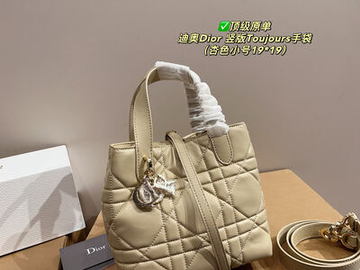 Dior Toujours Quilted Bag view 6