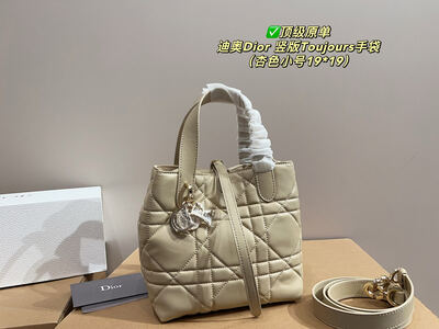 Dior Toujours Quilted Bag view 7