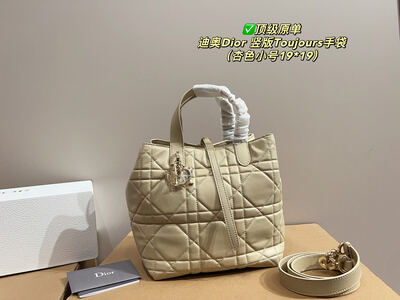 Dior Toujours Quilted Bag view 8