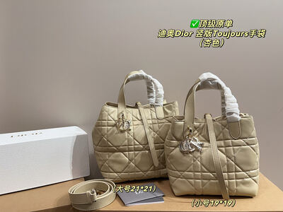 Dior Toujours Quilted Bag view 9