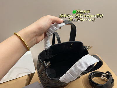 Dior Toujours Quilted Bag view 10