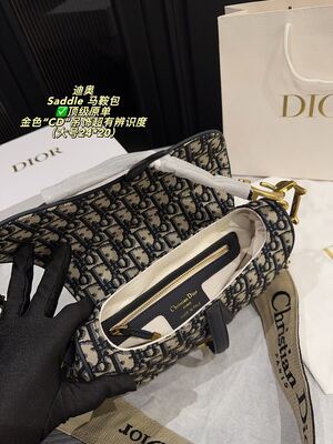 Dior Saddle Bag view 2