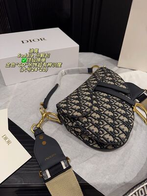 Dior Saddle Bag view 1