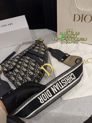 Dior Saddle Bag view 4