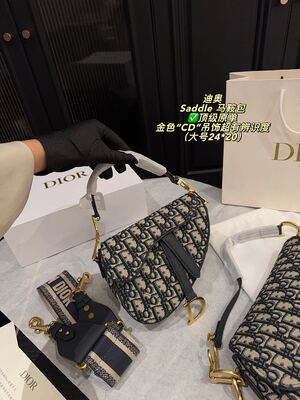 Dior Saddle Bag view 5
