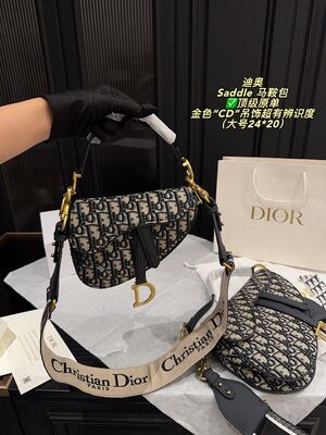Dior Saddle Bag view 6