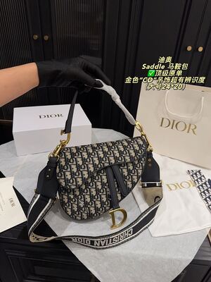 Dior Saddle Bag view 7