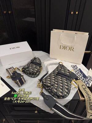 Dior Saddle Bag view 8