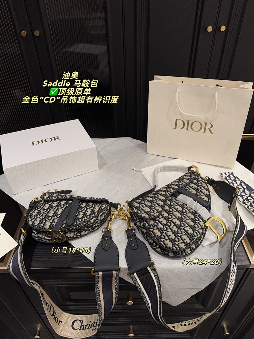 Dior Saddle Bag view