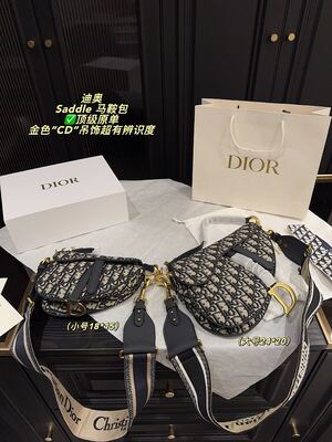 Dior Saddle Bag view 9