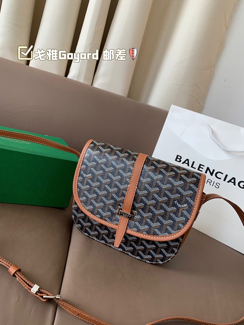 Goyard Saint Louis Tote view