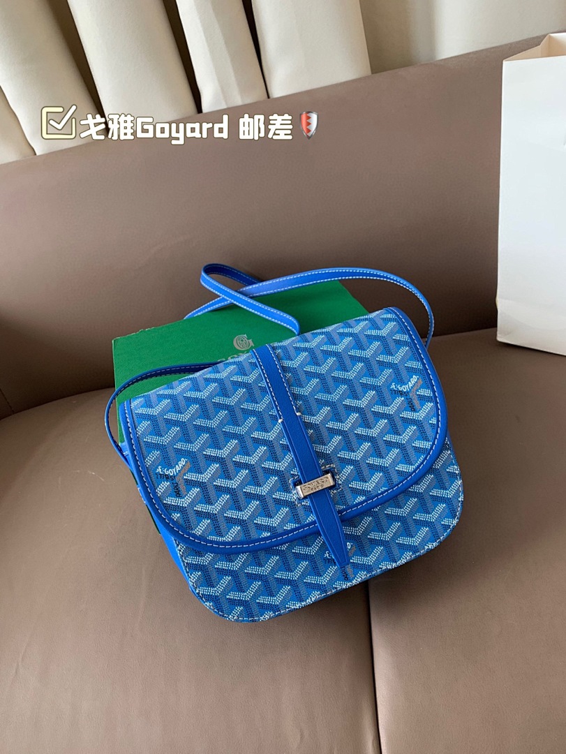Goyard Saint Louis Tote view