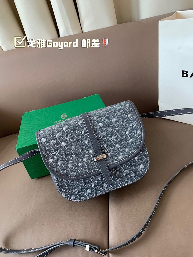 Goyard Saint Louis Tote view