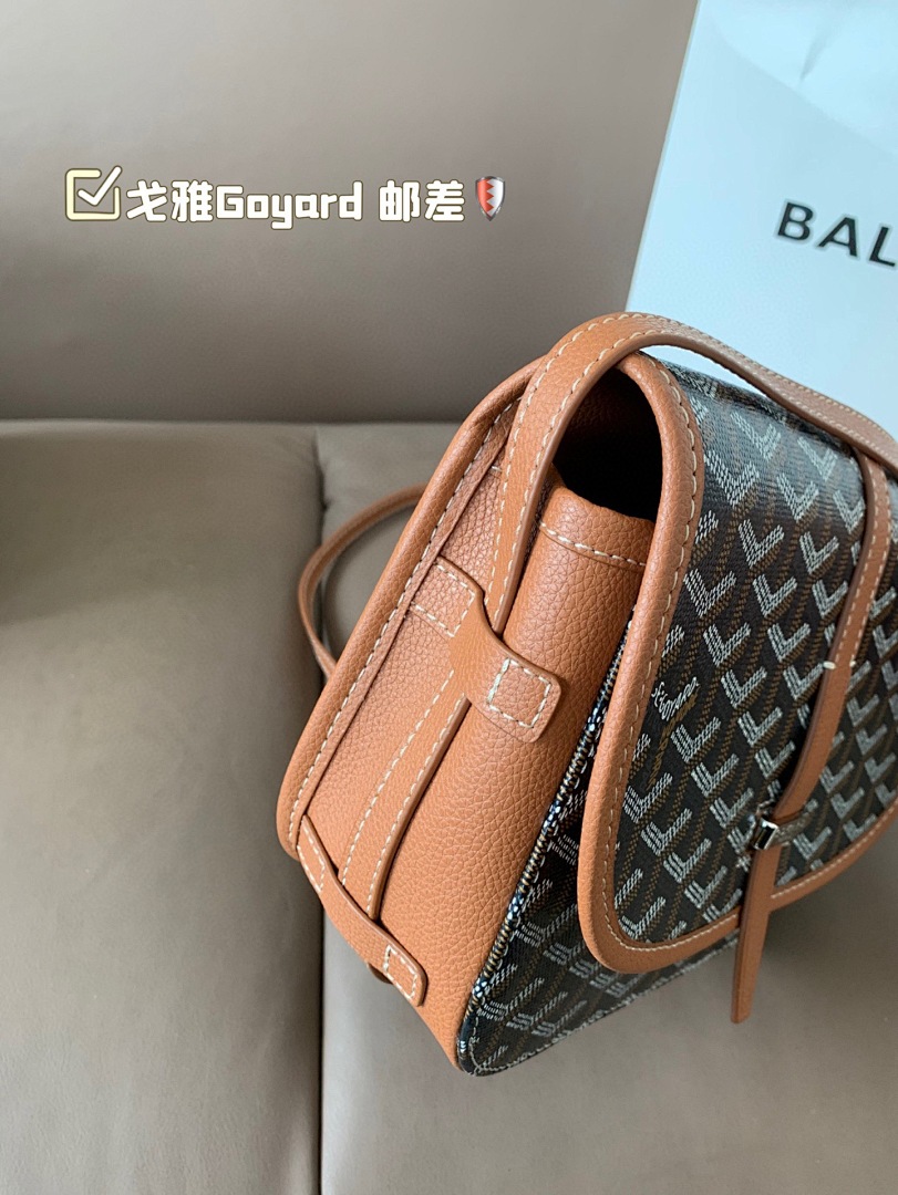 Goyard Saint Louis Tote view