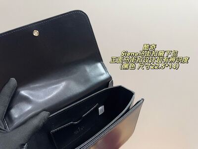 Gucci Siena Shoulder Bag view 2