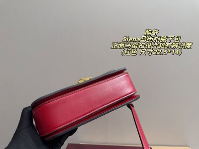 Gucci Siena Shoulder Bag view 12