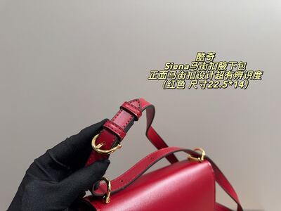 Gucci Siena Shoulder Bag view 13