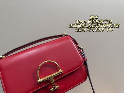 Gucci Siena Shoulder Bag view 14