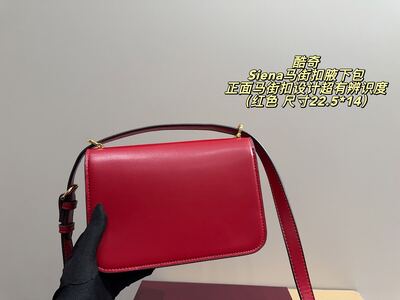 Gucci Siena Shoulder Bag view 16