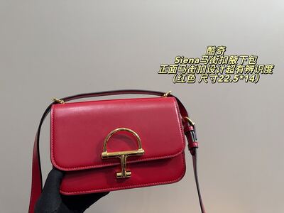 Gucci Siena Shoulder Bag view 17