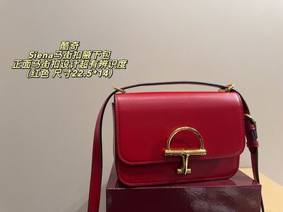 Gucci Siena Shoulder Bag view 18