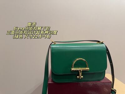 Gucci Siena Shoulder Bag view 21